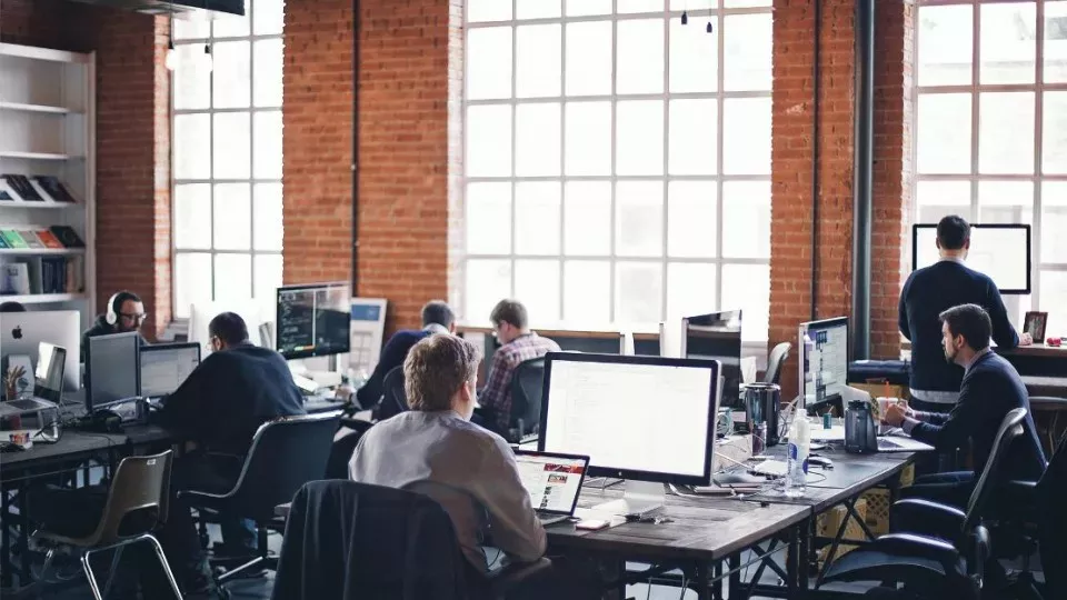 Как выбрать веб-студию в Каменногорске по кейсам