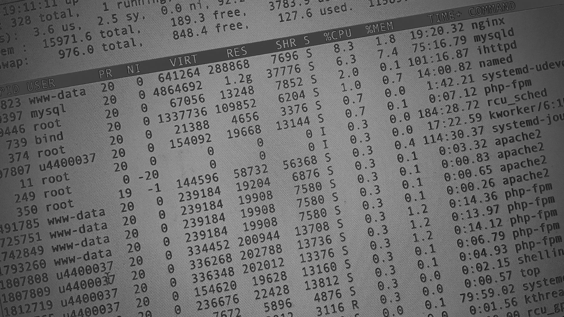 Настройка сервера в Каменногорске