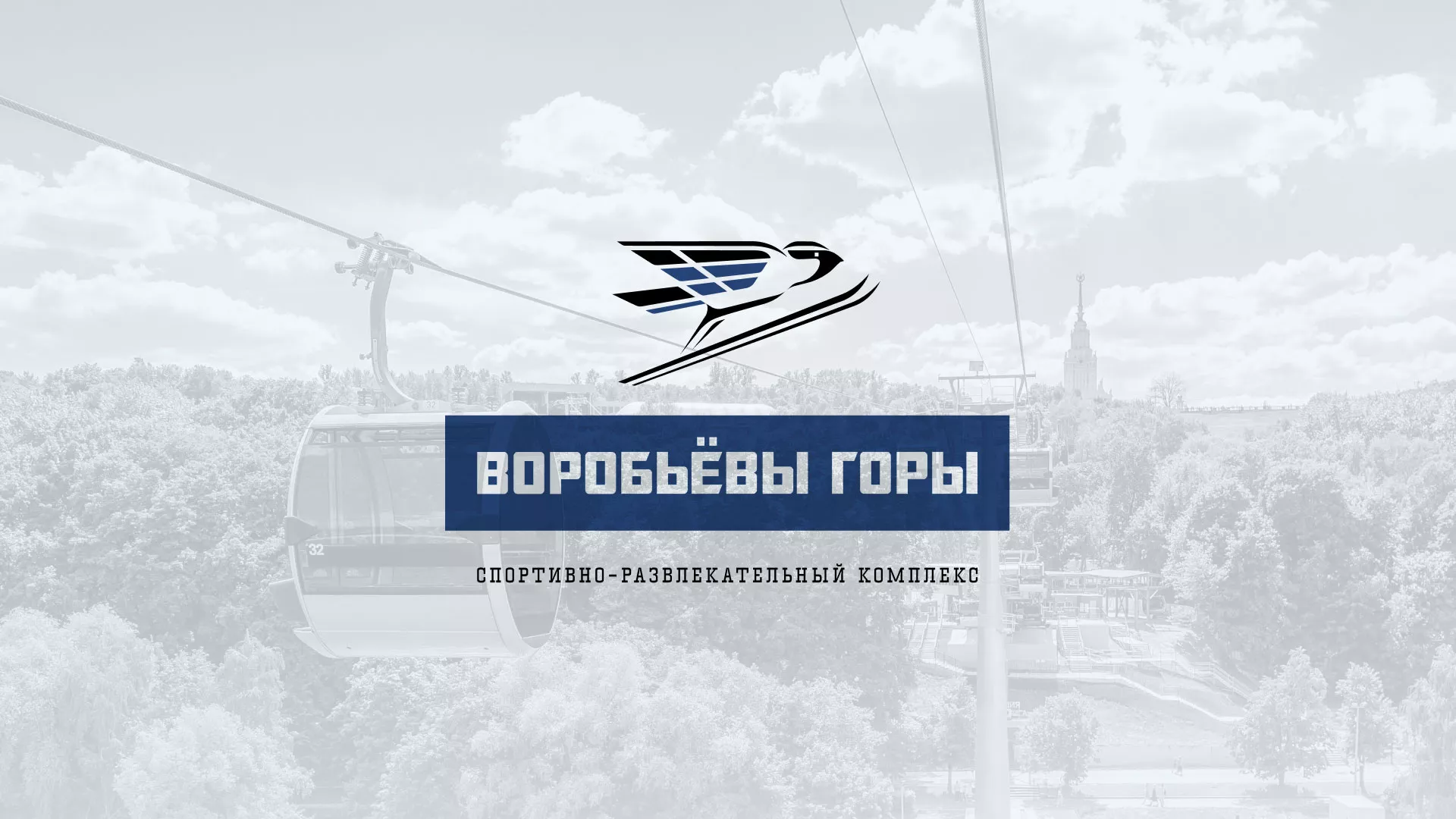 Разработка сайта в Каменногорске для спортивно-развлекательного комплекса «Воробьёвы горы»