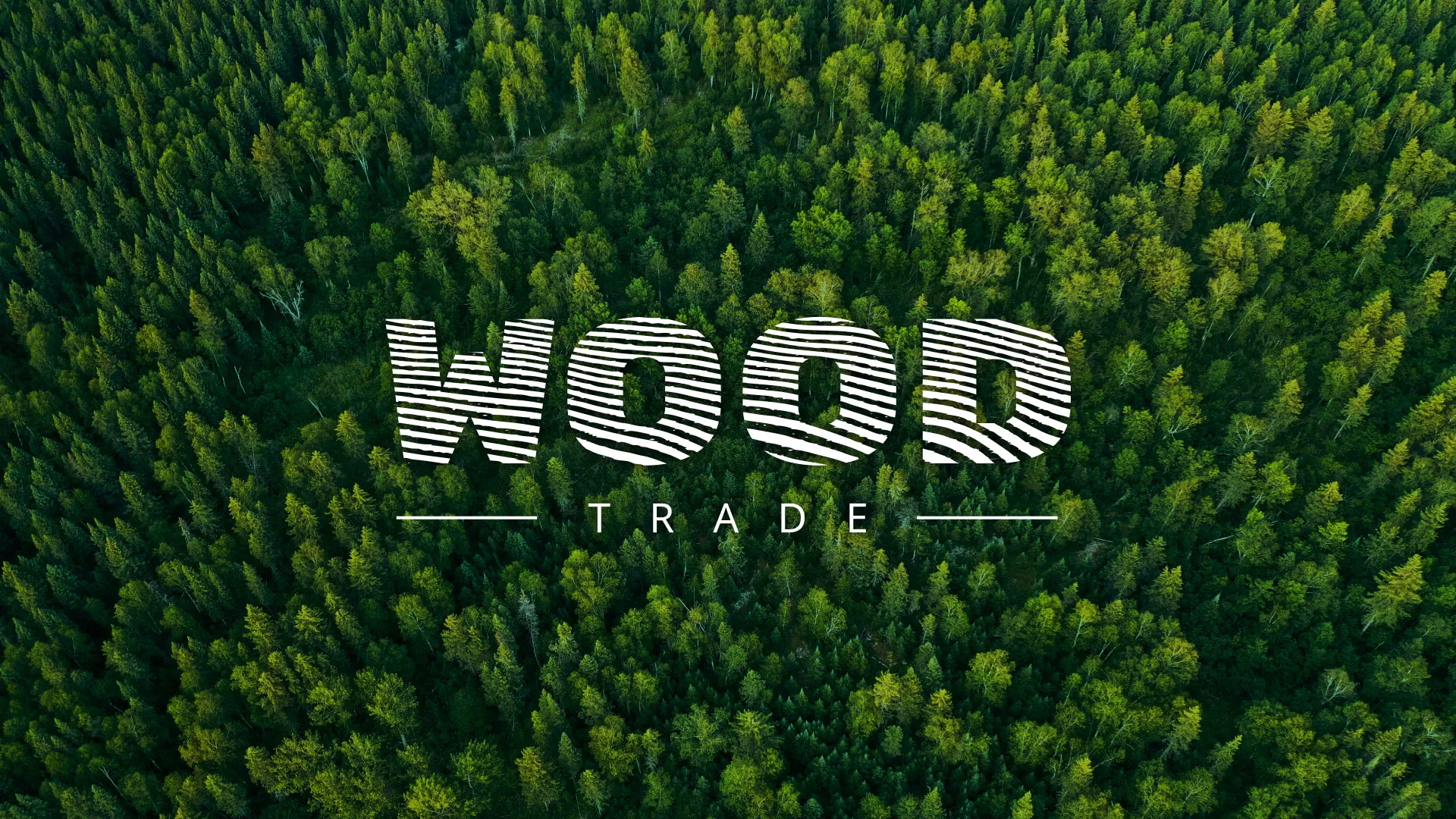 Разработка интернет-магазина компании «Wood Trade» в Каменногорске