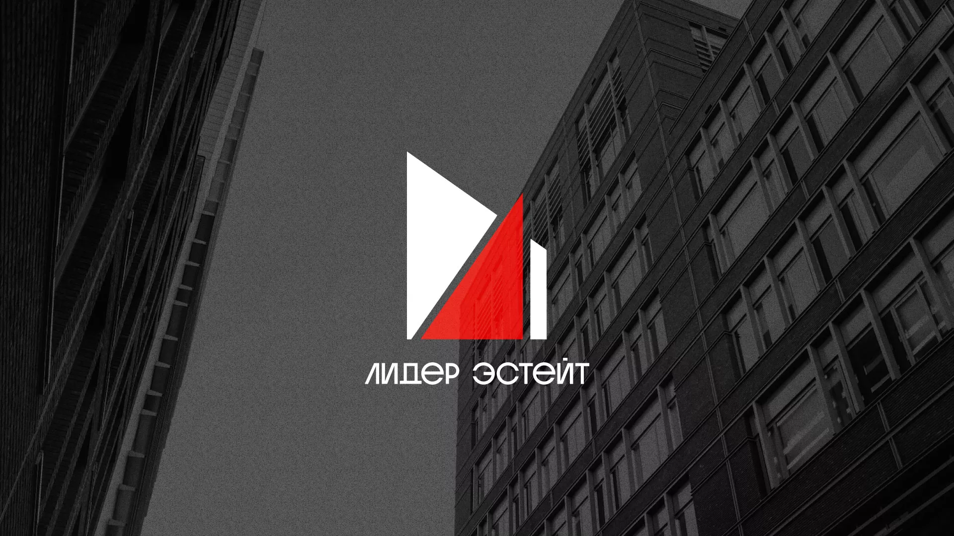 Сделали логотип для агентства недвижимости «Лидер Эстейт» в Каменногорске